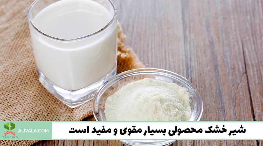 شیر خشک محصولی بسیار مقوی و مفید است