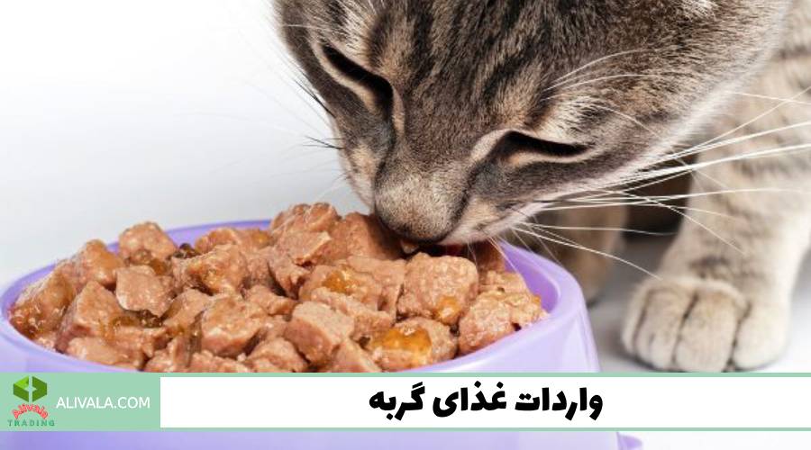 واردات غذای گربه
