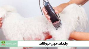 واردات موزر حیوانات